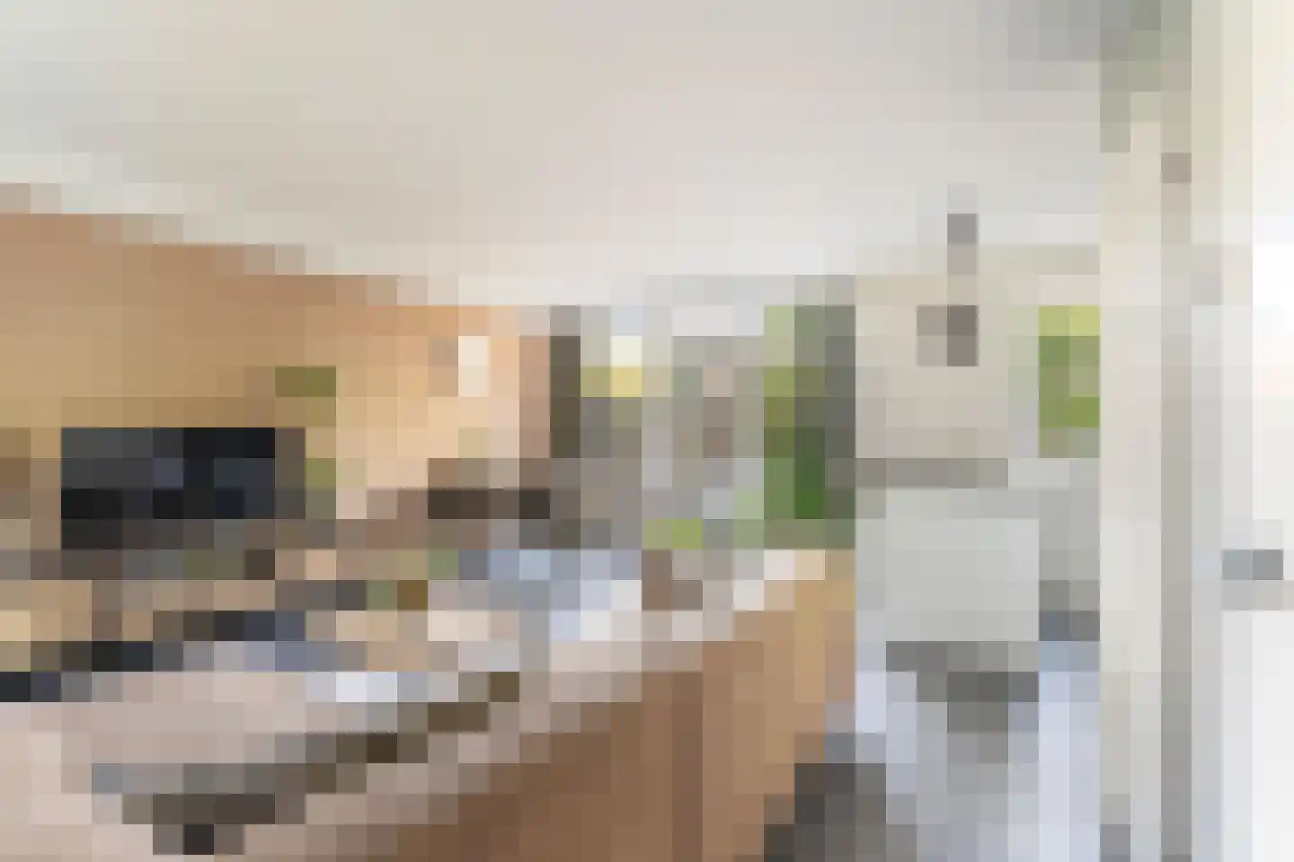 Vestdijkhove 3 Zoetermeer thumbnail 7