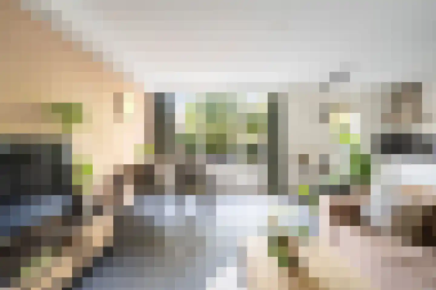 Vestdijkhove 3 Zoetermeer thumbnail 8