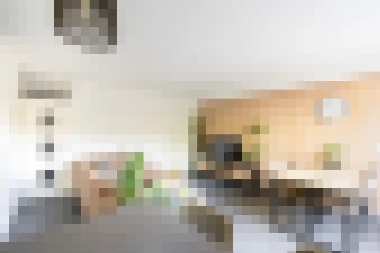 Vestdijkhove 3 Zoetermeer thumbnail 9