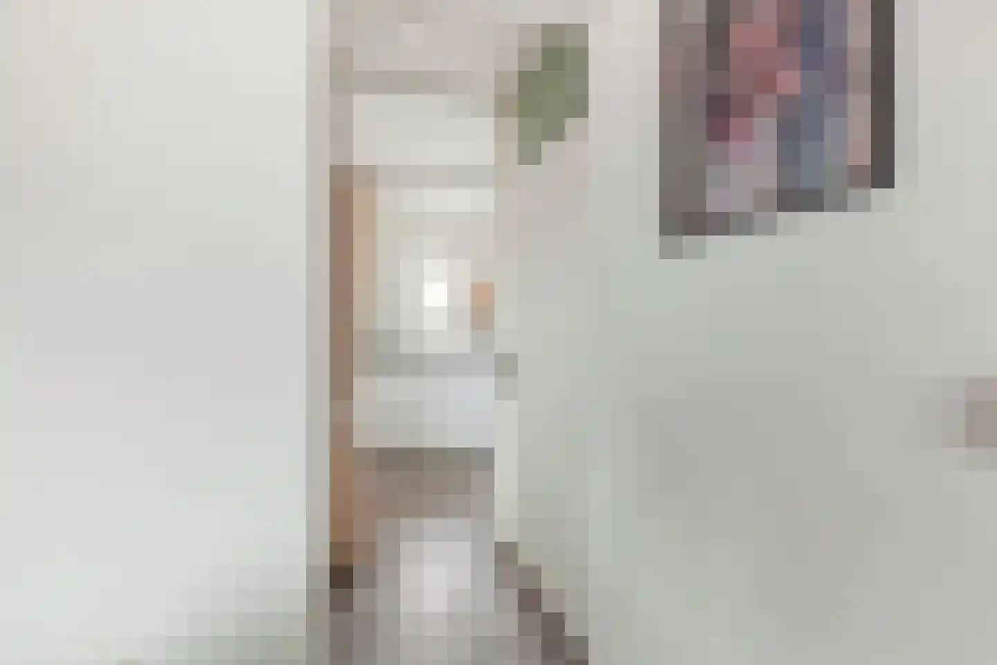Vestdijkhove 38 Zoetermeer thumbnail 10