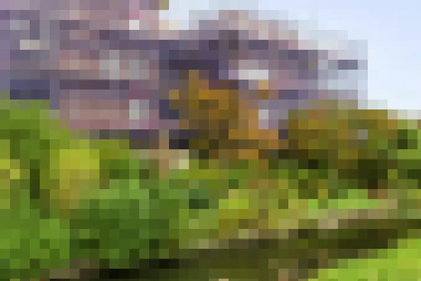 Vestdijkhove 38 Zoetermeer thumbnail 17