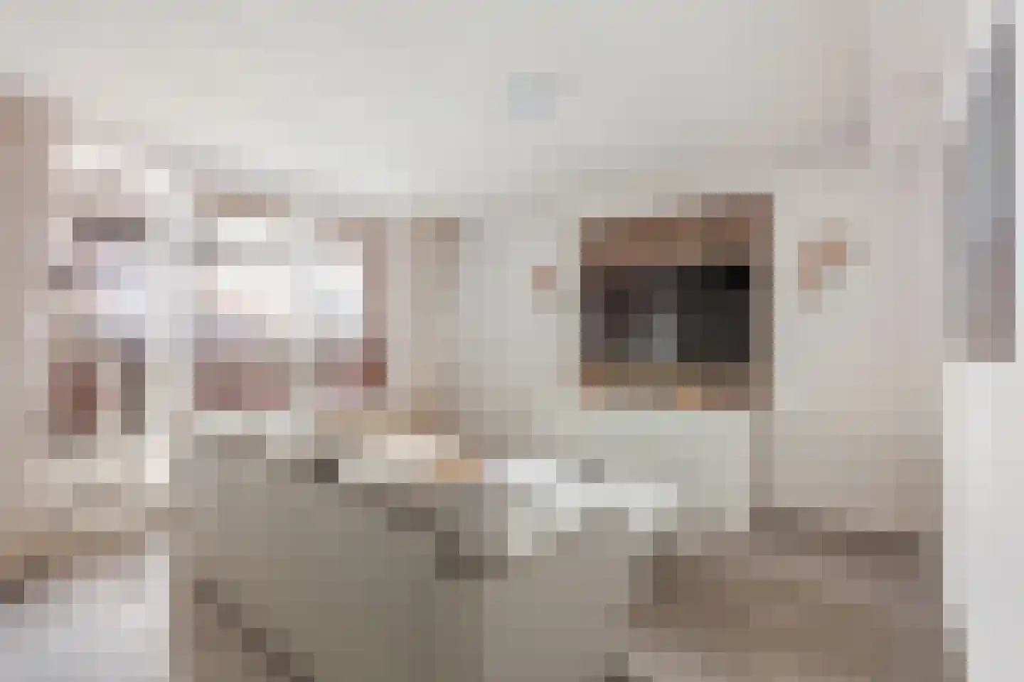 Vestdijkhove 38 Zoetermeer thumbnail 5