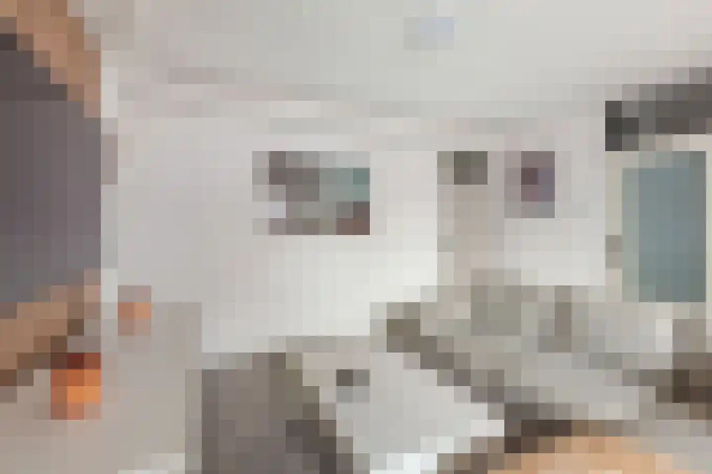 Vestdijkhove 38 Zoetermeer thumbnail 8