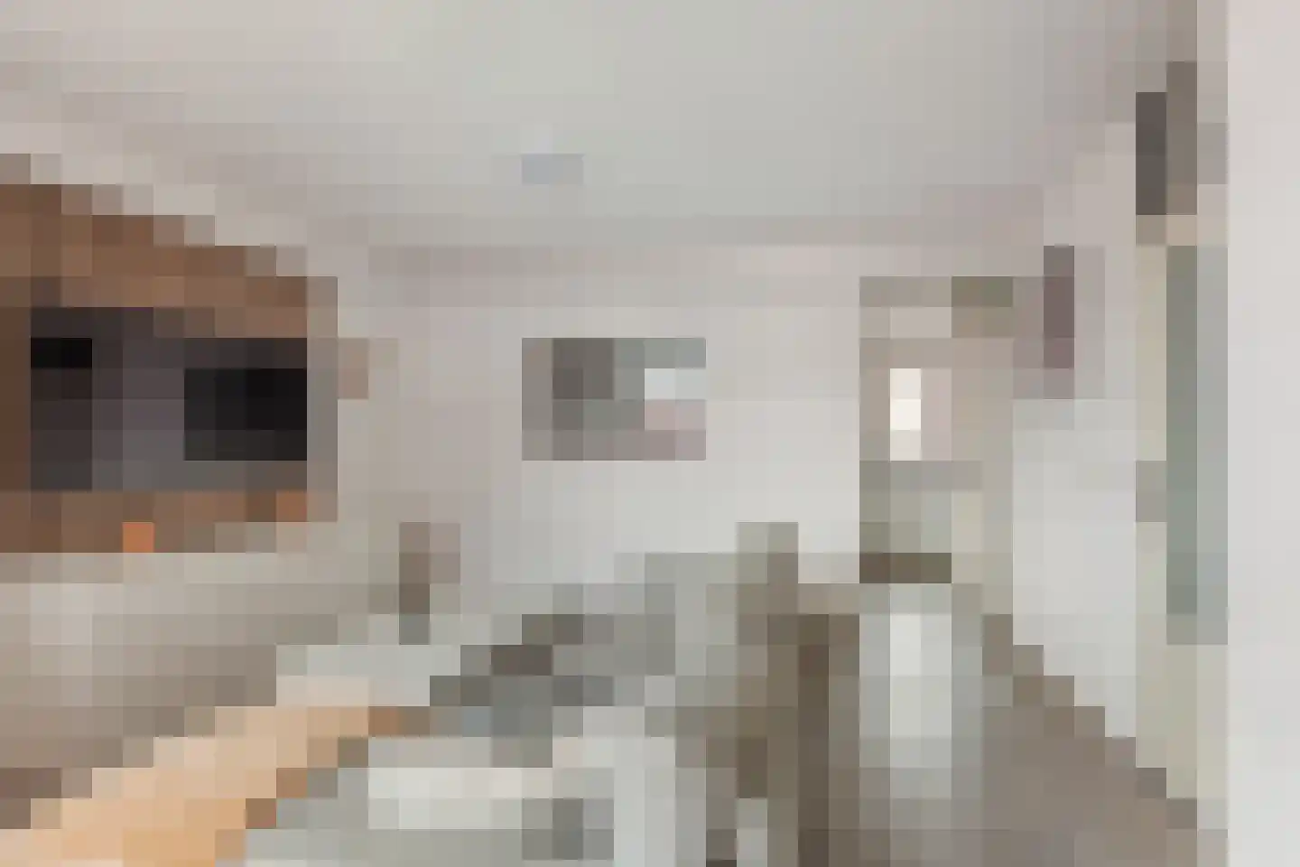 Vestdijkhove 38 Zoetermeer thumbnail 9