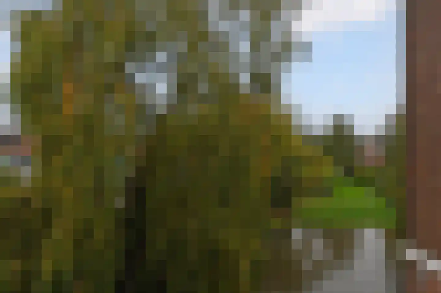 Vestdijkhove 54 Zoetermeer thumbnail 20