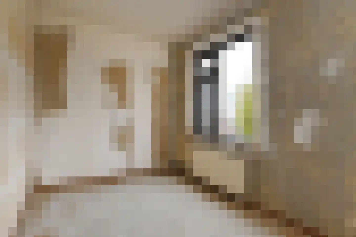 Vestdijkhove 54 Zoetermeer thumbnail 26