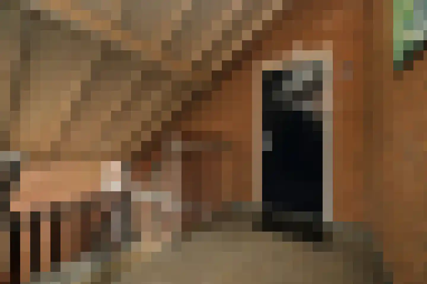 Vestdijkhove 54 Zoetermeer thumbnail 5