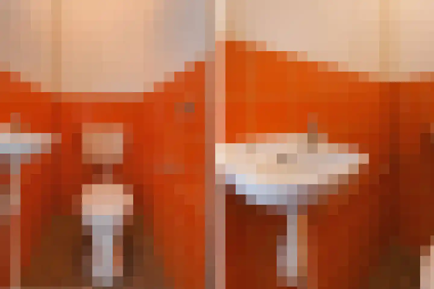Vestdijkhove 54 Zoetermeer thumbnail 8
