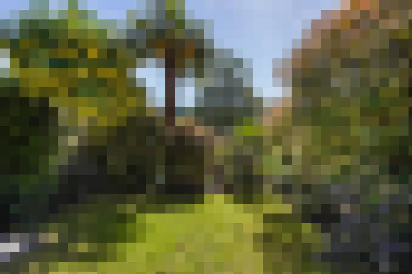 Vestdijkhove 8 Zoetermeer thumbnail 19