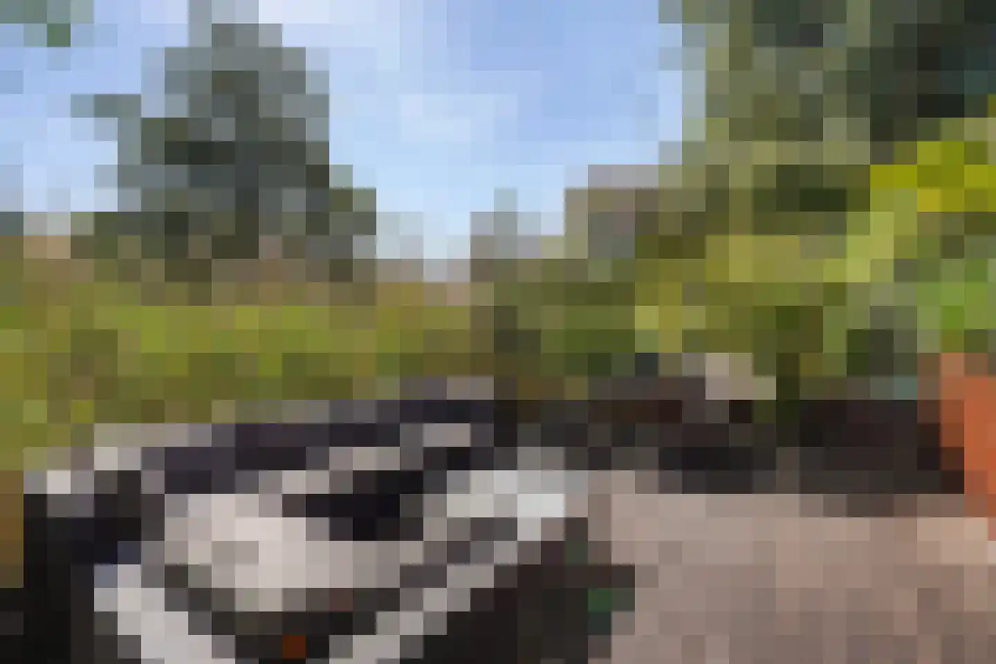 Vestdijkhove 8 Zoetermeer thumbnail 21