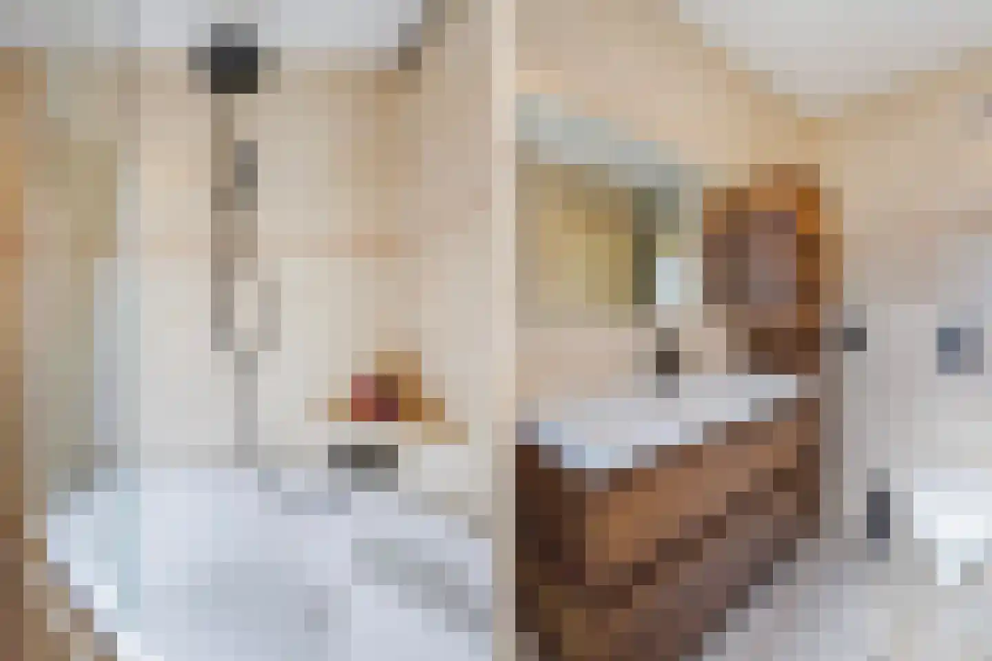 Vestdijkhove 8 Zoetermeer thumbnail 23