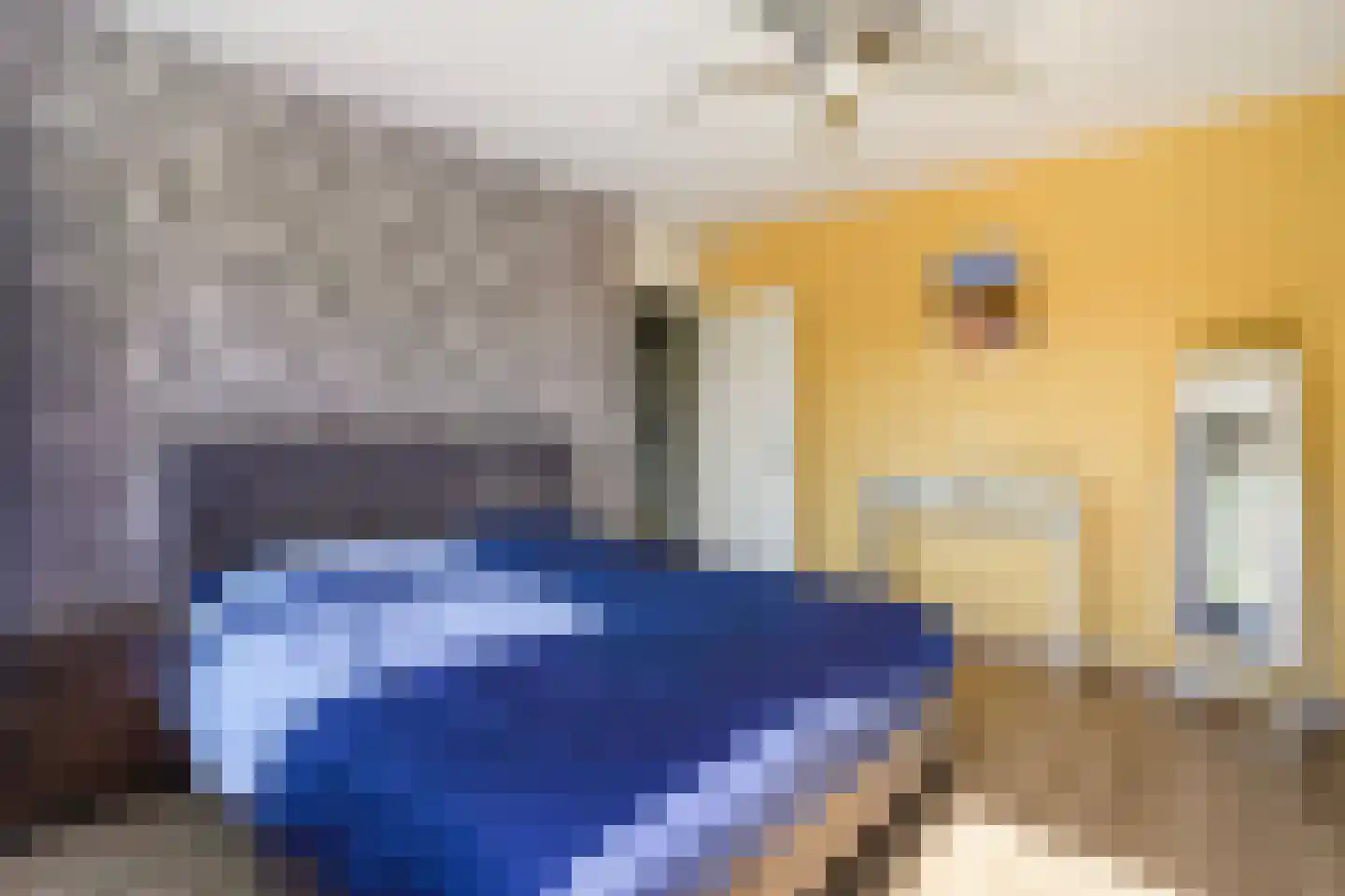 Vestdijkhove 8 Zoetermeer thumbnail 25