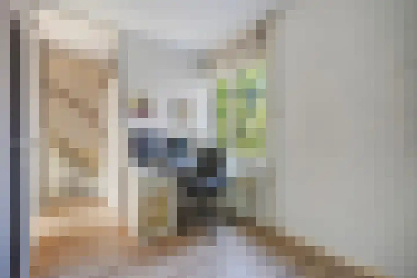 Vestdijkhove 8 Zoetermeer thumbnail 26