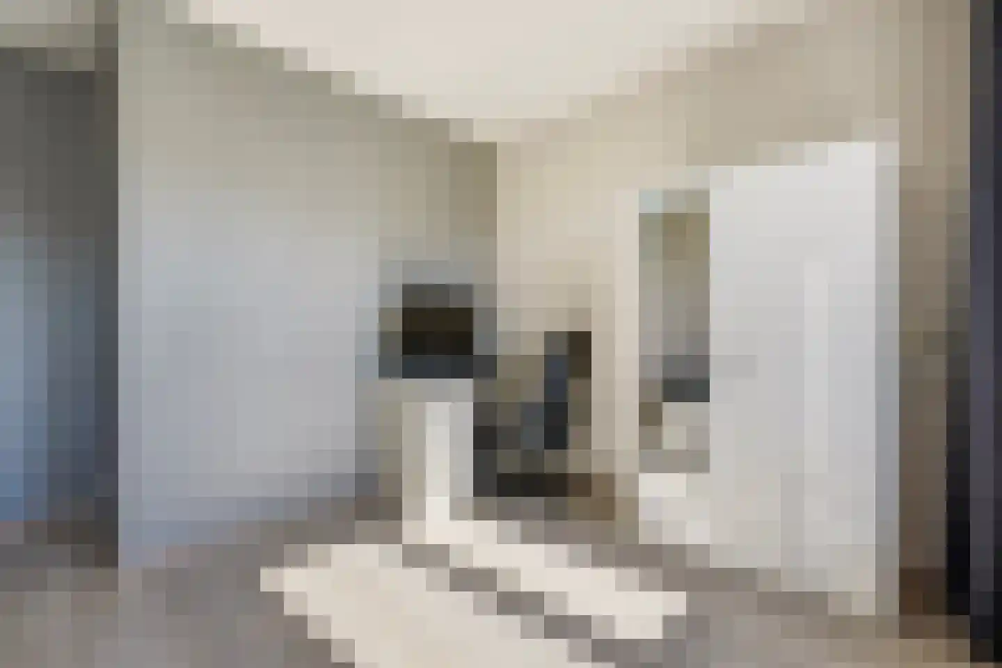 Vestdijkhove 8 Zoetermeer thumbnail 29