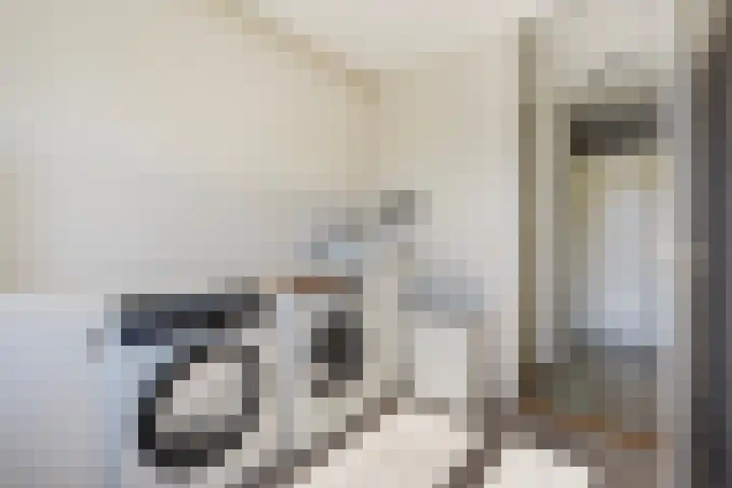 Vestdijkhove 8 Zoetermeer thumbnail 33