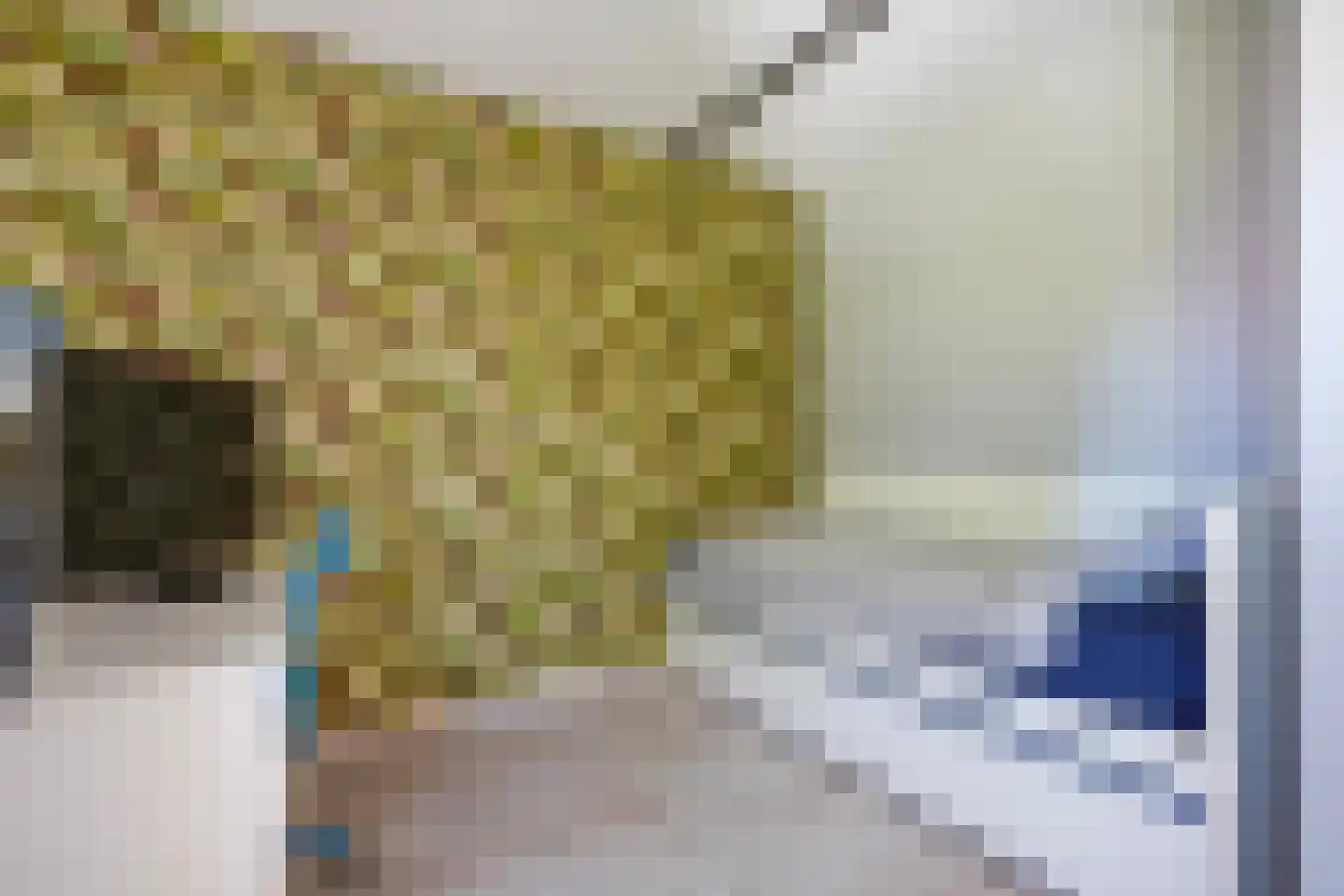 Vestdijkhove 8 Zoetermeer thumbnail 35