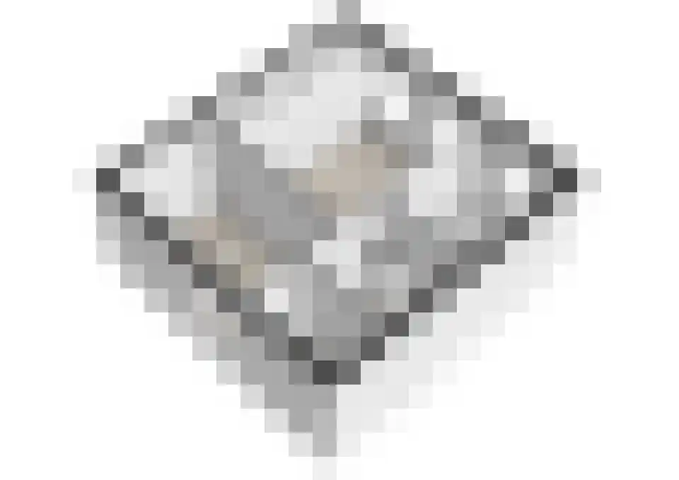 Vestdijkhove 8 Zoetermeer thumbnail 40