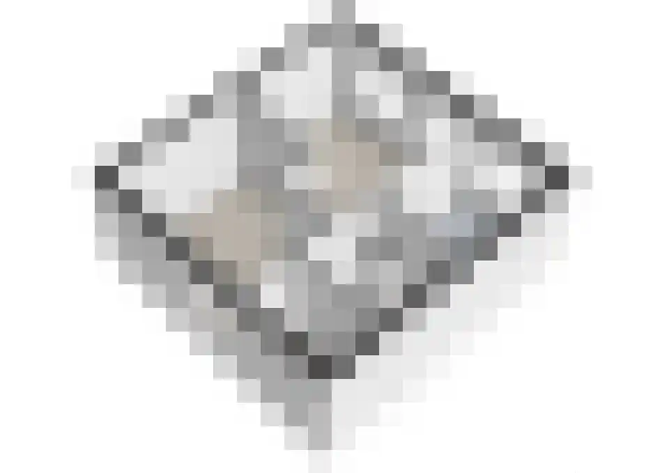 Vestdijkhove 8 Zoetermeer thumbnail 42