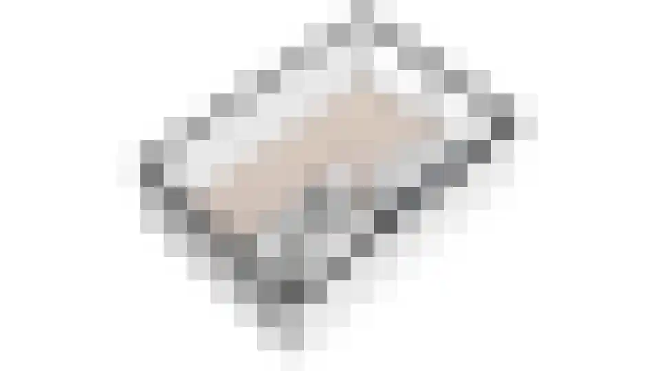 Vestdijkhove 8 Zoetermeer thumbnail 44