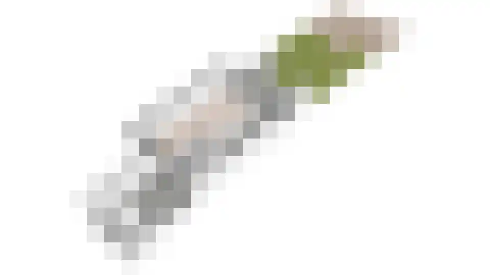 Vestdijkhove 8 Zoetermeer thumbnail 46