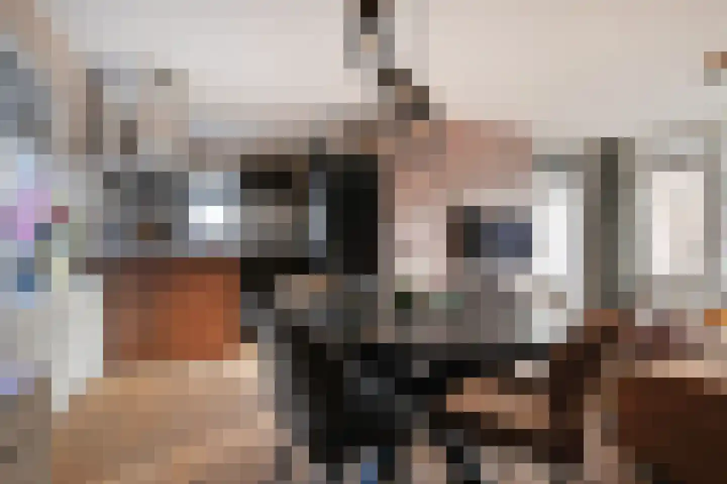 Vestdijkhove 9 Zoetermeer thumbnail 13