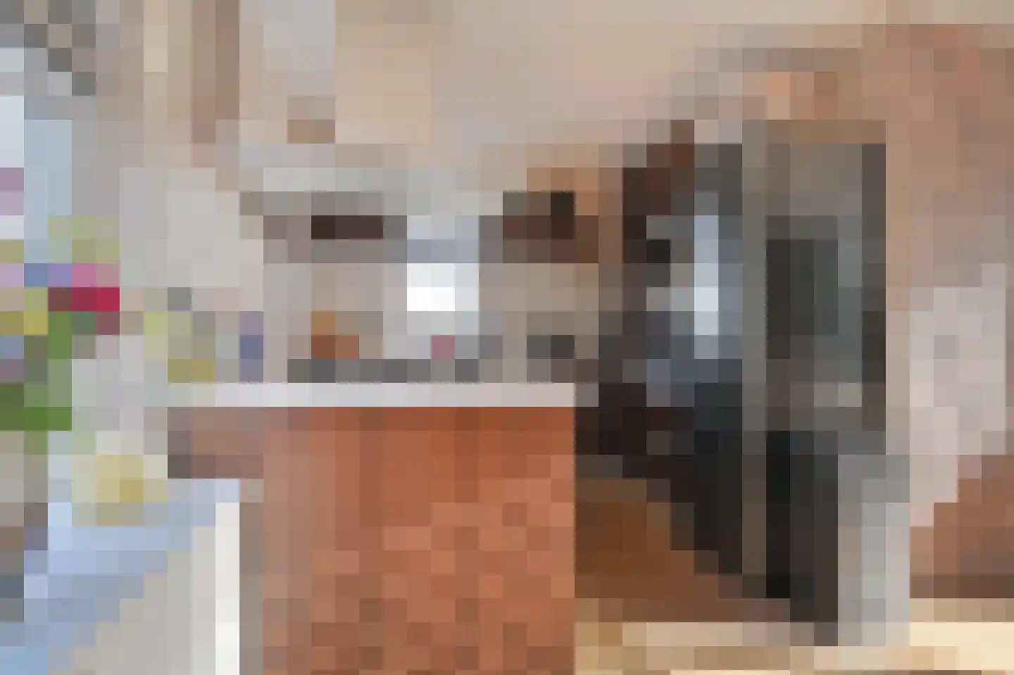 Vestdijkhove 9 Zoetermeer thumbnail 14