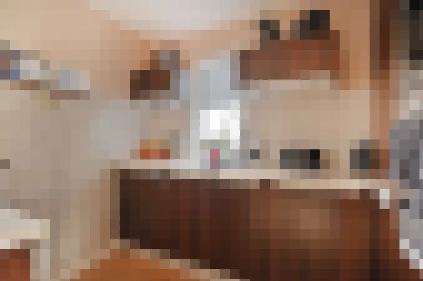 Vestdijkhove 9 Zoetermeer thumbnail 15