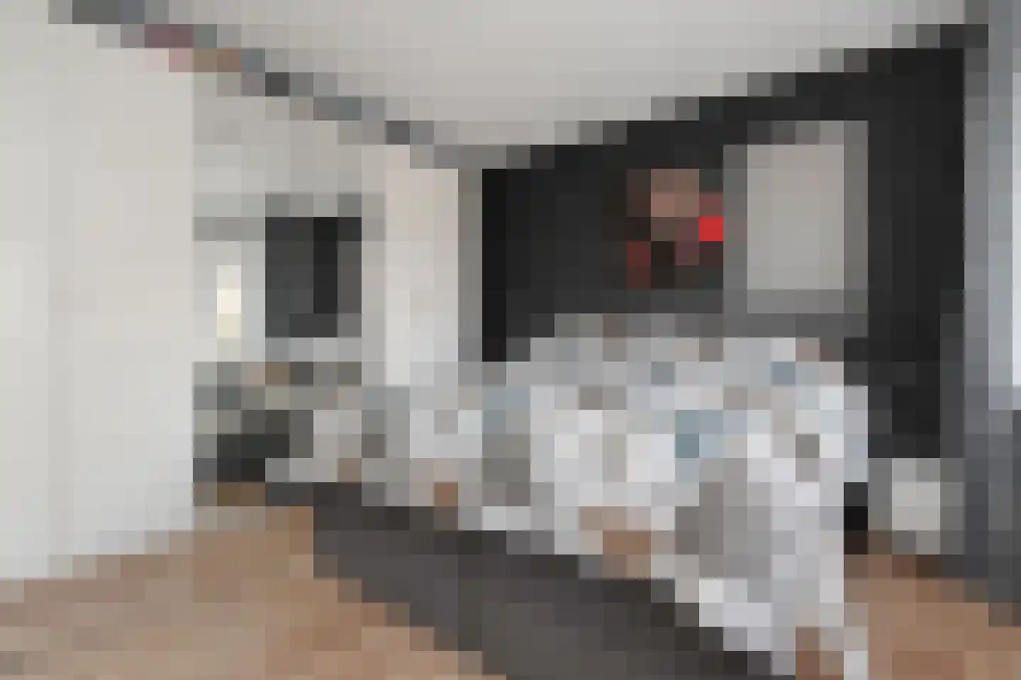 Vestdijkhove 9 Zoetermeer thumbnail 22