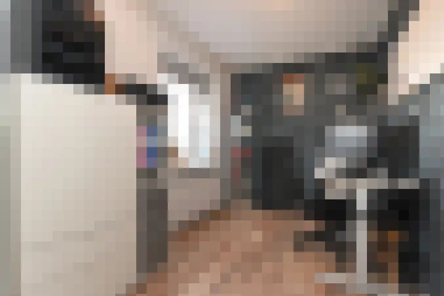 Vestdijkhove 9 Zoetermeer thumbnail 25