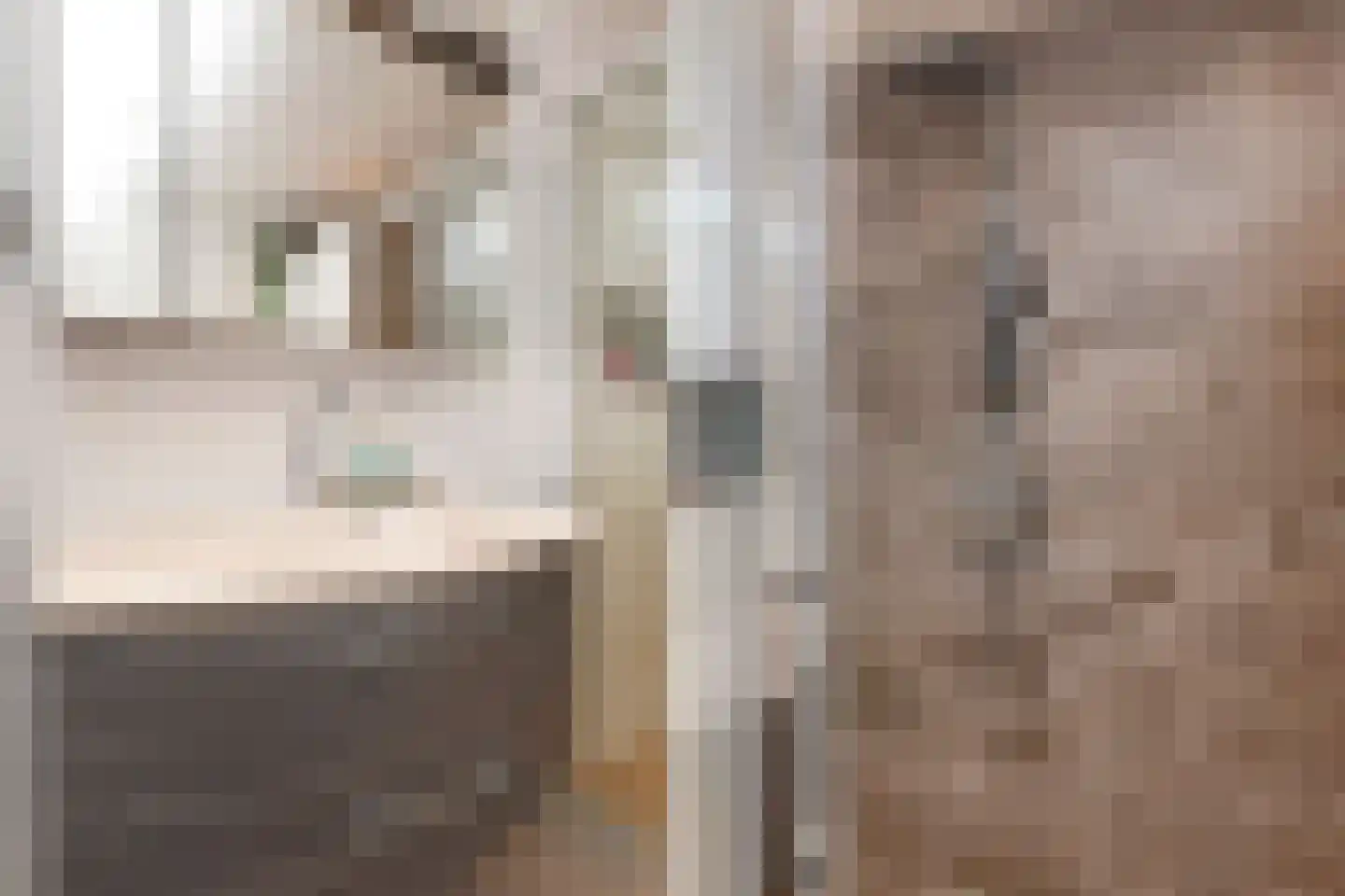 Vestdijkhove 9 Zoetermeer thumbnail 29