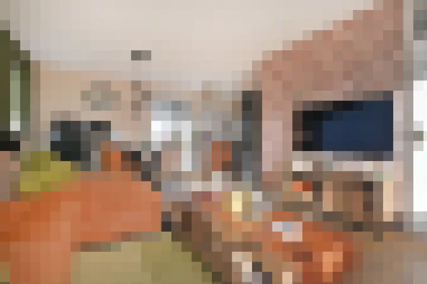 Vestdijkhove 9 Zoetermeer thumbnail 4