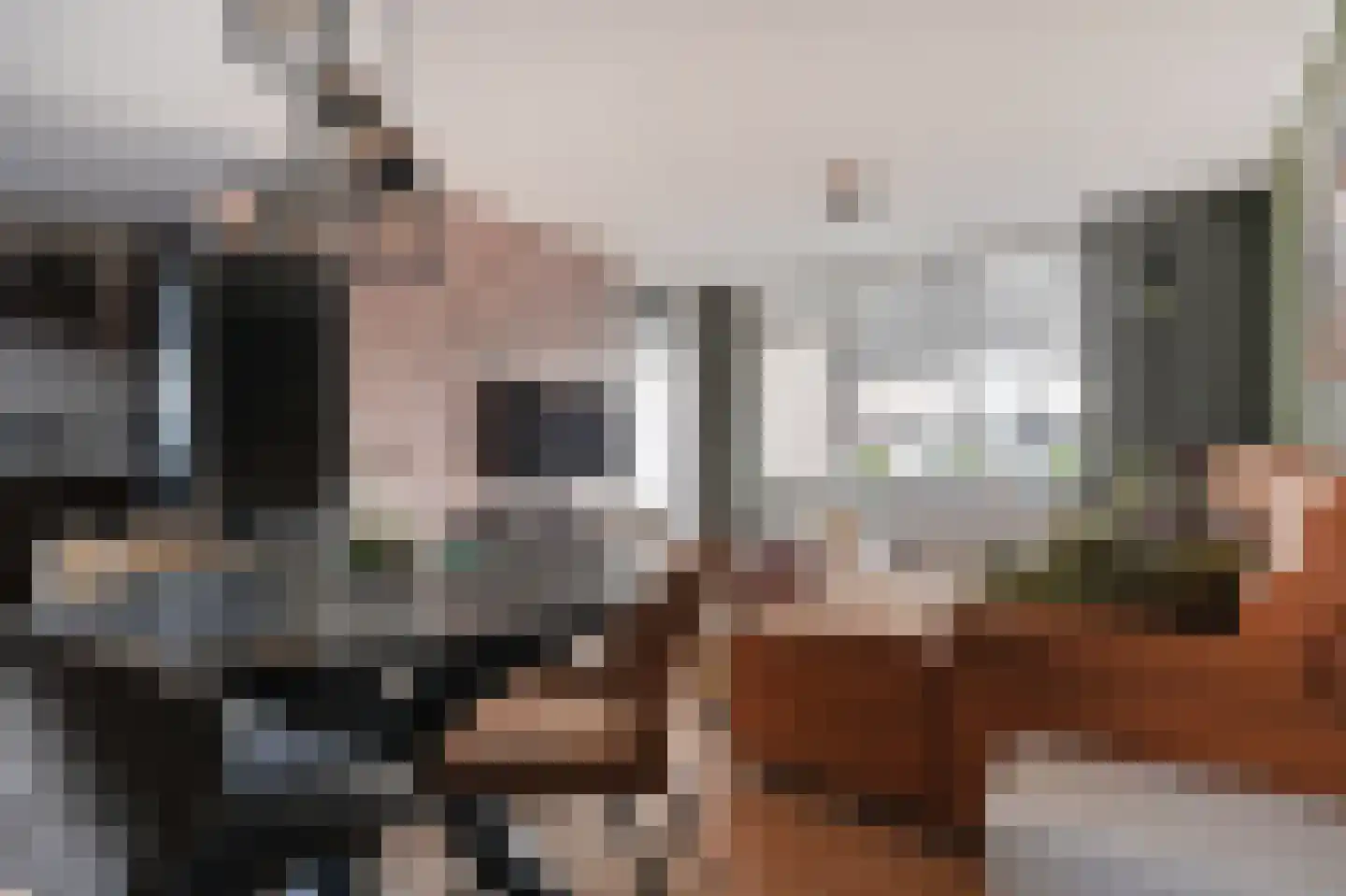 Vestdijkhove 9 Zoetermeer thumbnail 5