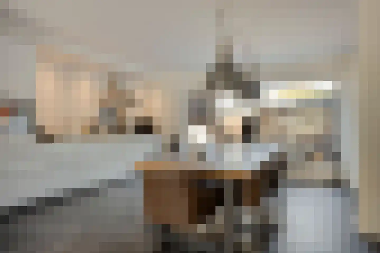 Vestdijklaan 26 's-Gravenzande thumbnail 10