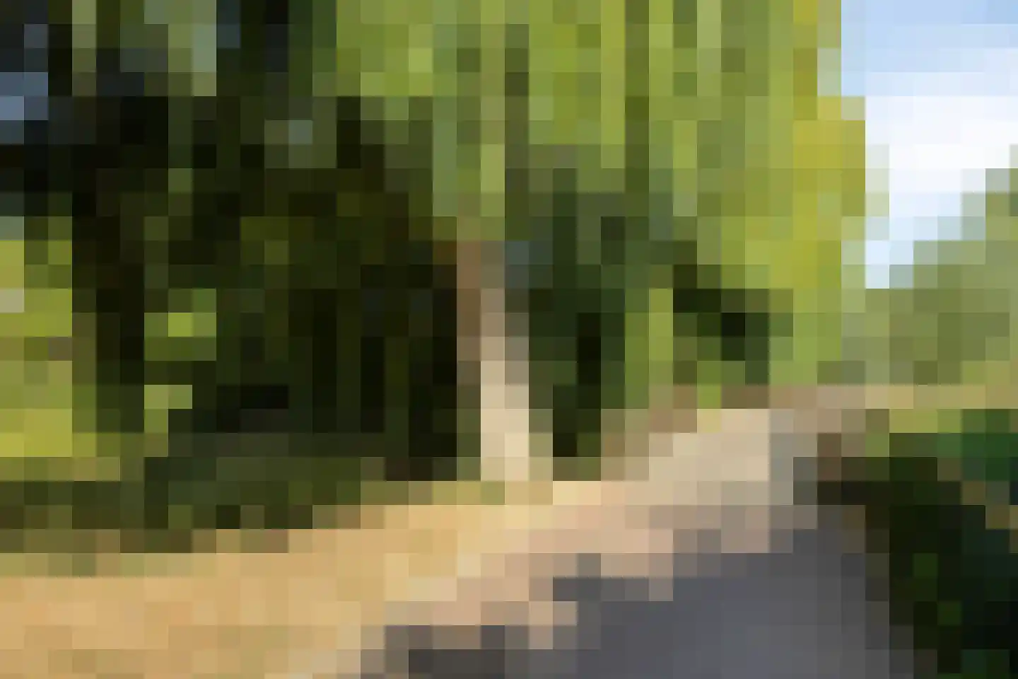 Vestdijklaan 26 's-Gravenzande thumbnail 23