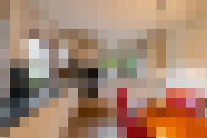 Vestdijklaan 368 Groningen thumbnail 11