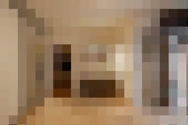 Vestdijklaan 368 Groningen thumbnail 14