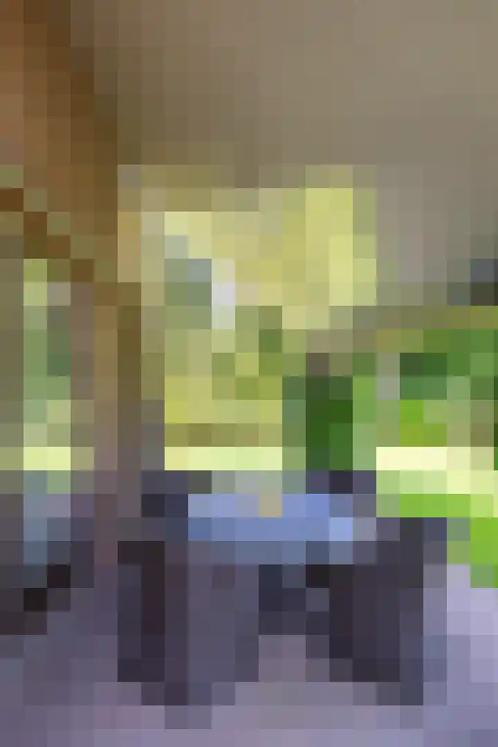 Vestdijklaan 368 Groningen thumbnail 15