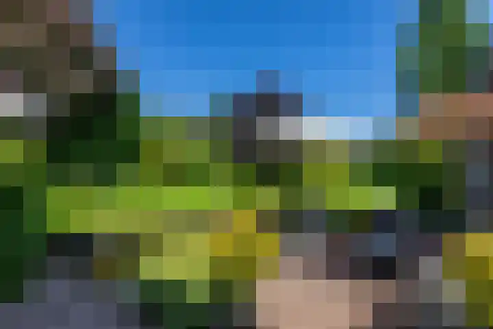Vestdijklaan 368 Groningen thumbnail 16