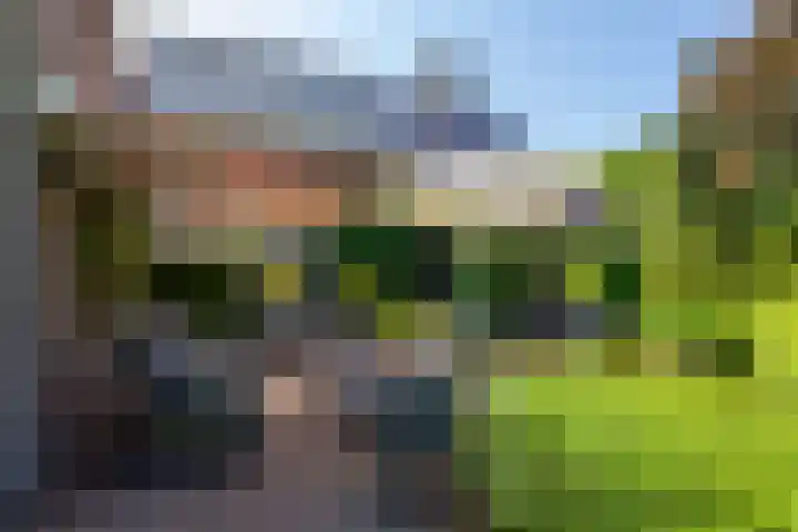 Vestdijklaan 368 Groningen thumbnail 19