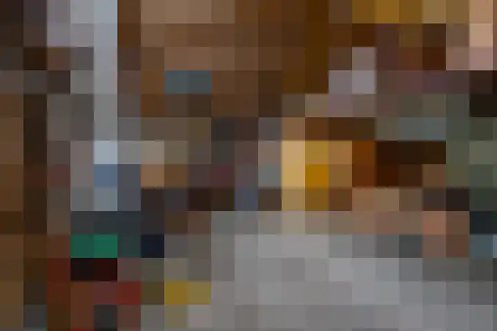 Vestdijklaan 368 Groningen thumbnail 21