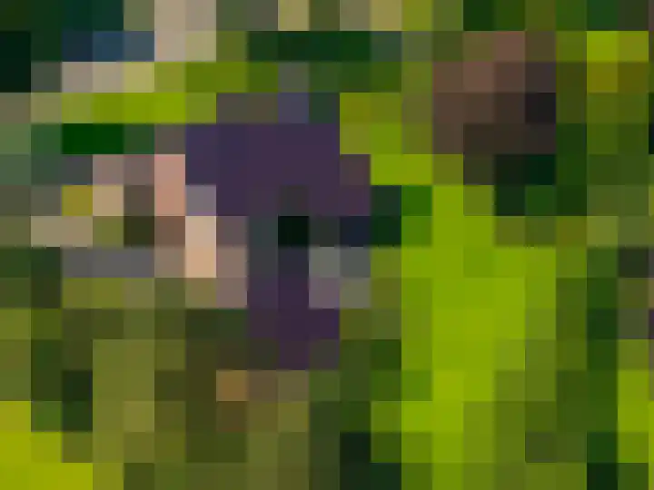 Vestdijklaan 368 Groningen thumbnail 30