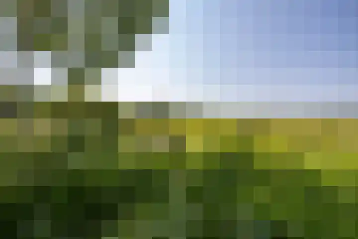 Vestdijklaan 368 Groningen thumbnail 32