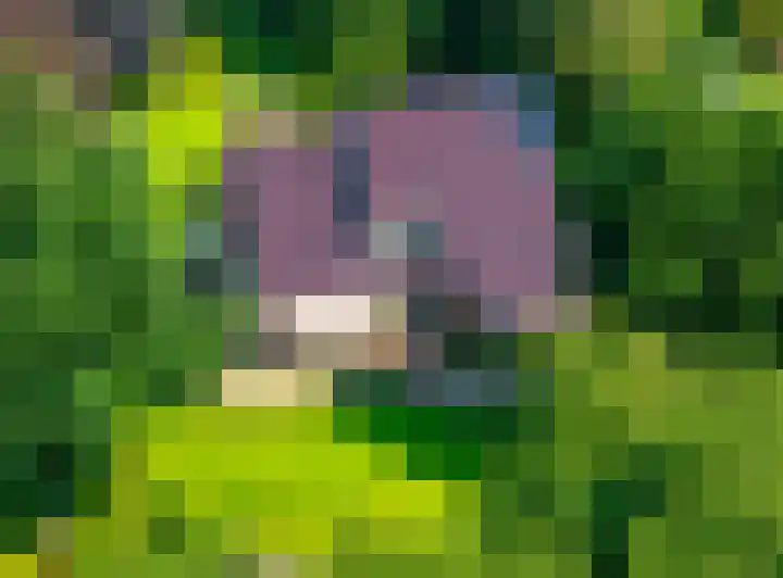 Vestdijklaan 368 Groningen thumbnail 33