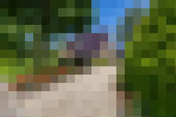 Vestdijklaan 368 Groningen thumbnail 4