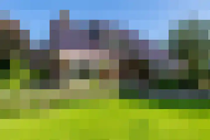 Vestdijklaan 368 Groningen thumbnail 5