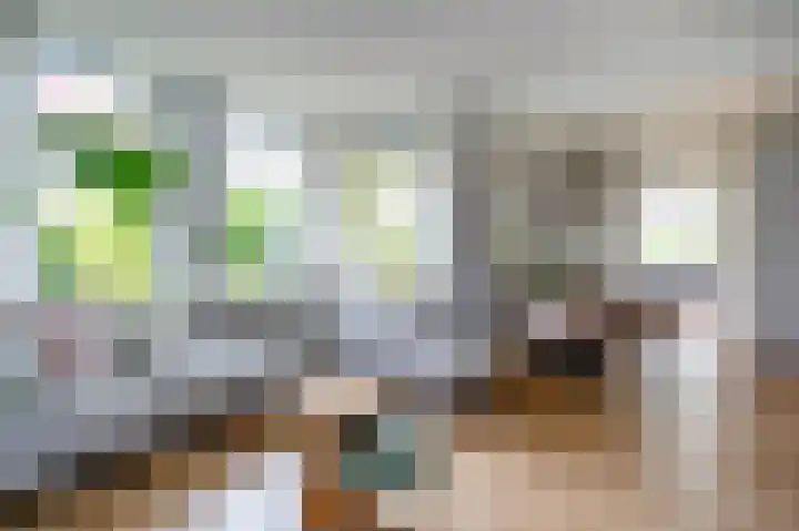 Vestdijklaan 384 Groningen thumbnail 10
