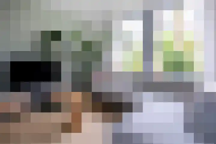 Vestdijklaan 384 Groningen thumbnail 11