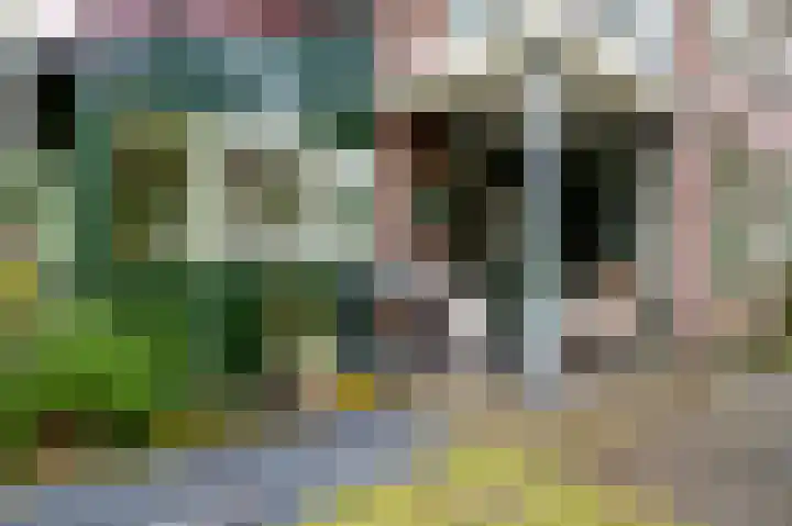 Vestdijklaan 384 Groningen thumbnail 31