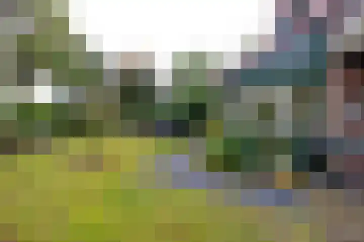 Vestdijklaan 384 Groningen thumbnail 32