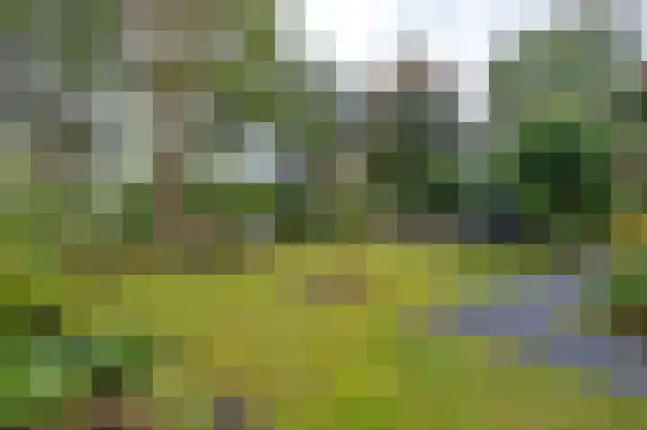 Vestdijklaan 384 Groningen thumbnail 33
